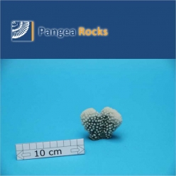 1970m-6x5x2cm-30g-Pangea Rocks