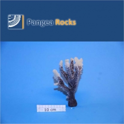 1630m-17x11x7cm-120g-Pangea Rocks