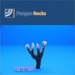 1600m-14x11x3cm-60g-Pangea Rocks