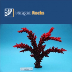 1580m-39x36x4cm-800g-Pangea Rocks