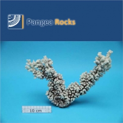 1530m-27x22x8cm-580g-Pangea Rocks