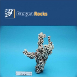 1510m-24x13x7cm-600g-Pangea Rocks