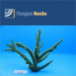 1495m-40x32x24cm-860g-Pangea Rocks