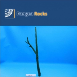 1490m-47x16x3cm-200g-Pangea Rocks