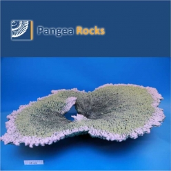 1435m-100x90x30cm-14,500g-Pangea Rocks