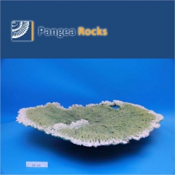1430m-85x85x20cm-7,000g-Pangea Rocks