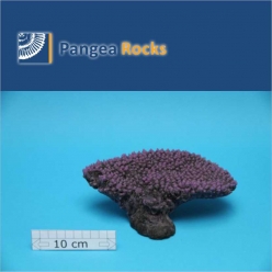 1415m-21x15x8cm-470g-Pangea Rocks