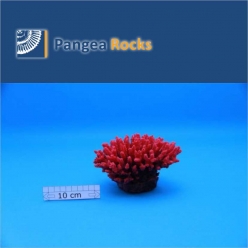 1350m-15x14x9cm-380g-Pangea Rocks
