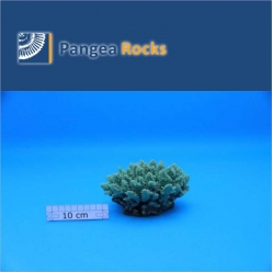 1330m-14x11x8cm-340g-Pangea Rocks