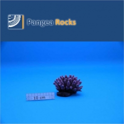 1320m-10x7x6cm-130g-Pangea Rocks