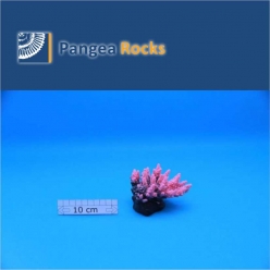 1310m-10x9x6cm-170g-Pangea Rocks