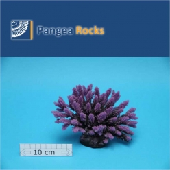 1295m-18x9x12cm-200g-Pangea Rocks