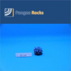 1280m-6x6x5cm-60g-Pangea Rocks