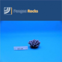 1270m-9x9x6cm-90g-Pangea Rocks