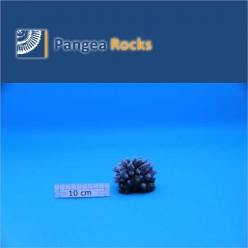 1260m-8x8x6cm-90g-Pangea Rocks