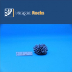 1250m-9x9x6cm-170g-Pangea Rocks