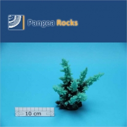 1210m-16x16x12cm-180g-Pangea Rocks