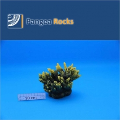 1200m-15x13x12cm-440g-Pangea Rocks