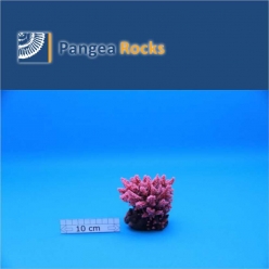 1180m-11x9x9cm-140g-Pangea Rocks