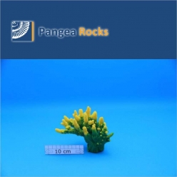 1170m-13x12x9cm-220g-Pangea Rocks