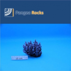 1160m-12x11x9cm-250g-Pangea Rocks