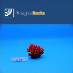 1150m-10x10x8cm-170g-Pangea Rocks