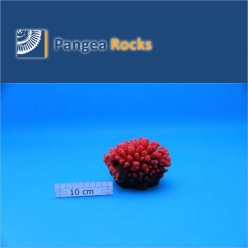 1110m-12x10x8cm-330g-Pangea Rocks