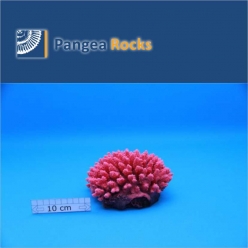 1100m-15x15x9cm-600g-Pangea Rocks