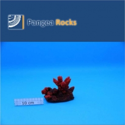 1090m-12x9x9cm-200g-Pangea Rocks