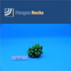 1080m-10x9x8cm-240g-Pangea Rocks