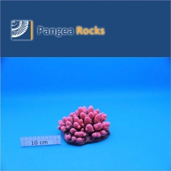 1060m-14x14x10cm-460g-Pangea Rocks