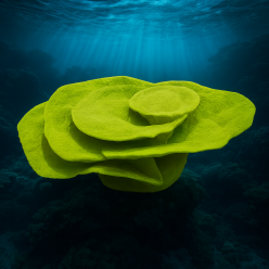 몬티포라-60x58x26cm (SH9020)-B3-인조산호-원아쿠아