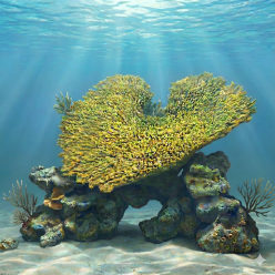 아크로-69x45x15cm (SH163)-B1-인조산호-원아쿠아