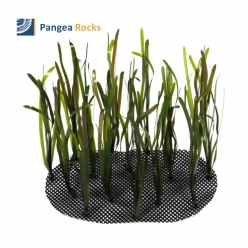 Posidonia 200개 묶음 (2 x 2M)-kelp-Pangea Rocks