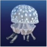 Spotted Lagoon Jellyfish (Mastigias papua)_Tropical_자연