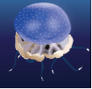 Australian spotted jellyfish (Phyllorhiza punctata)_Tropical