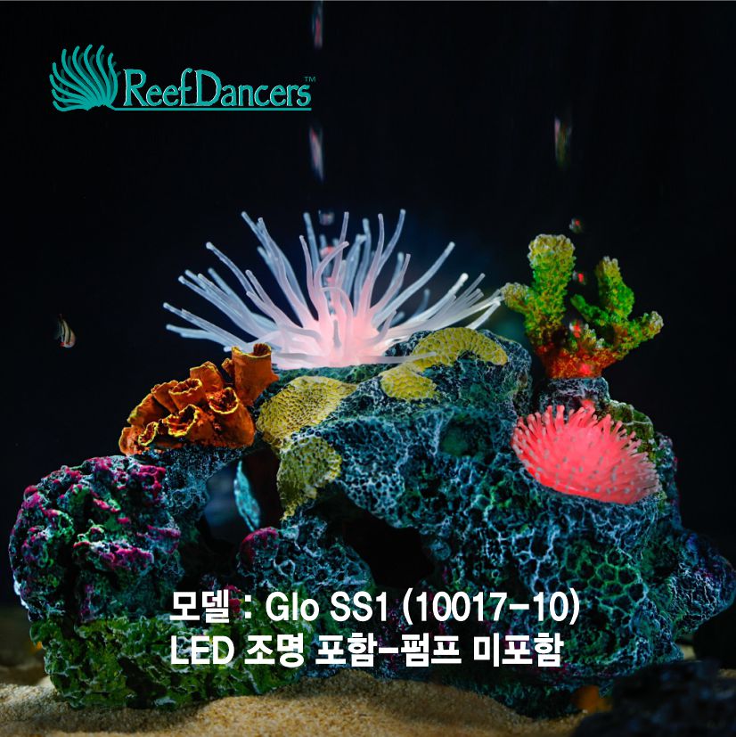코랄댄서 (Coral Dancer Glo SS1)조명포함-Reef Dancers