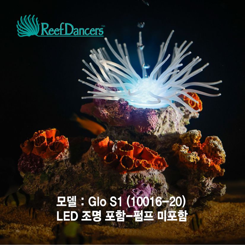 코랄댄서 (Coral Dancer Glo S1)조명포함-Reef Dancers