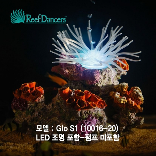 코랄댄서 (Coral Dancer Glo S1)조명포함-Reef Dancers