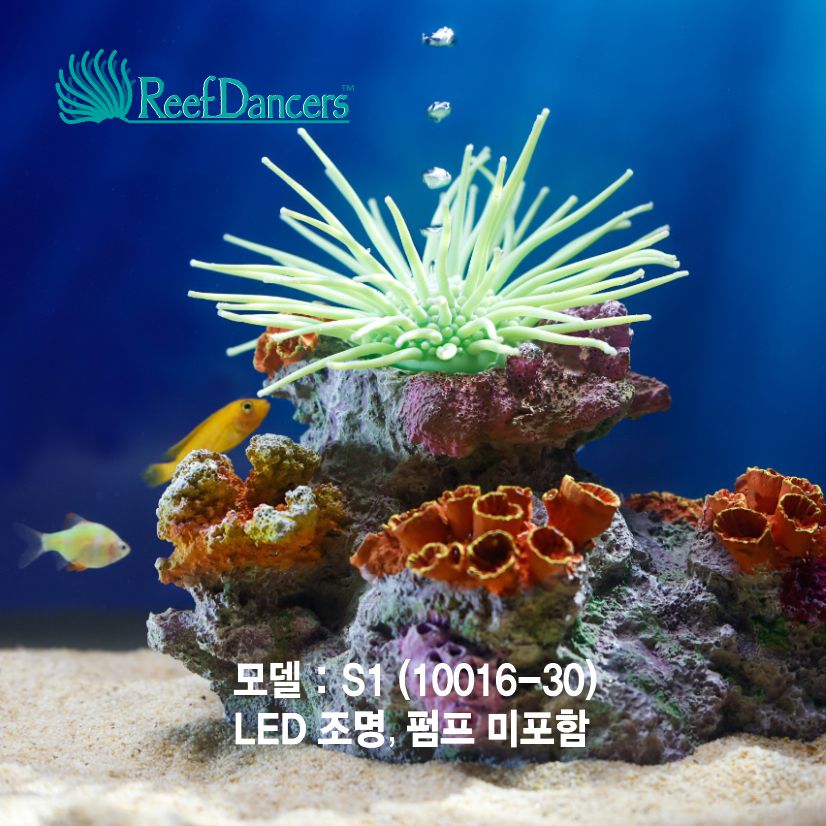 코랄댄서 (Coral Dancer S1)조명불포함-Reef Dancers