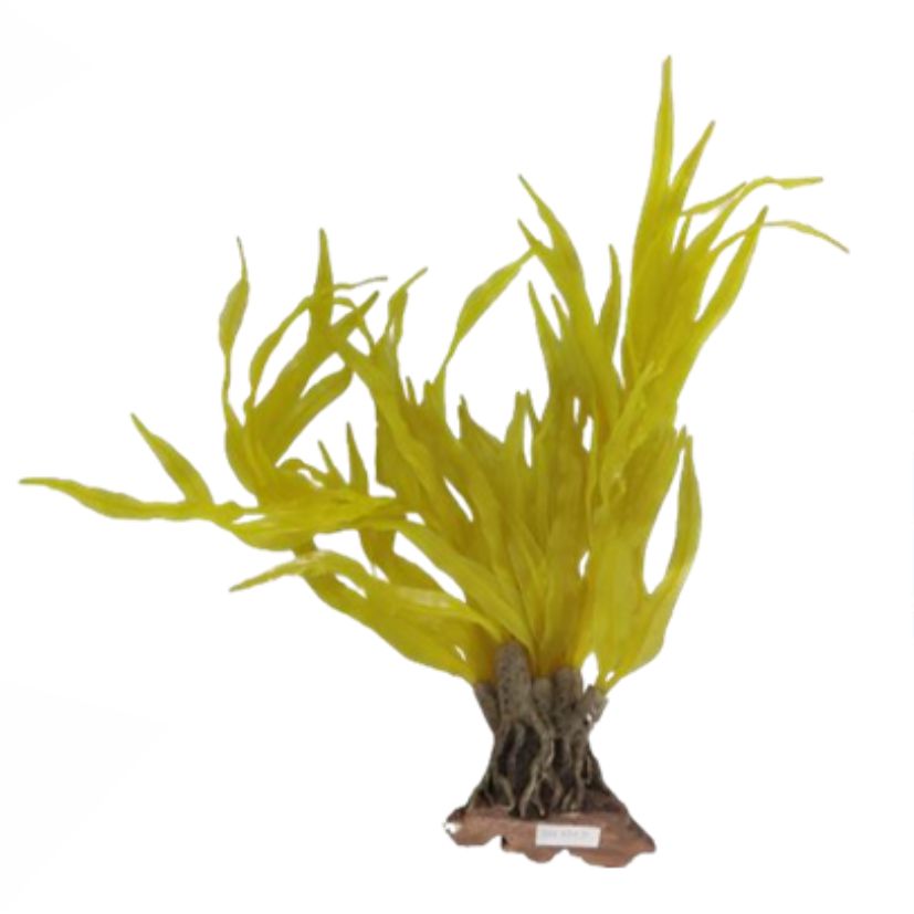 Halymenia-60CM~400CM (SH232)-인조켈프-원아쿠아