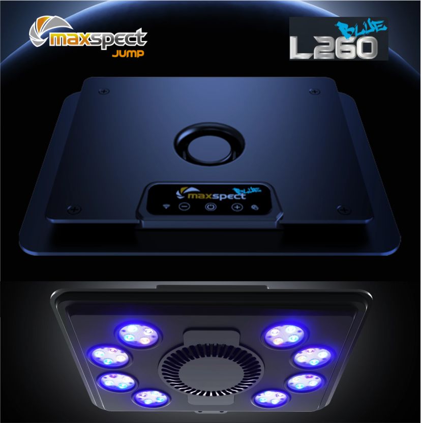 MJ-L260 BLUE-66W(165신형)-조명-맥스펙트