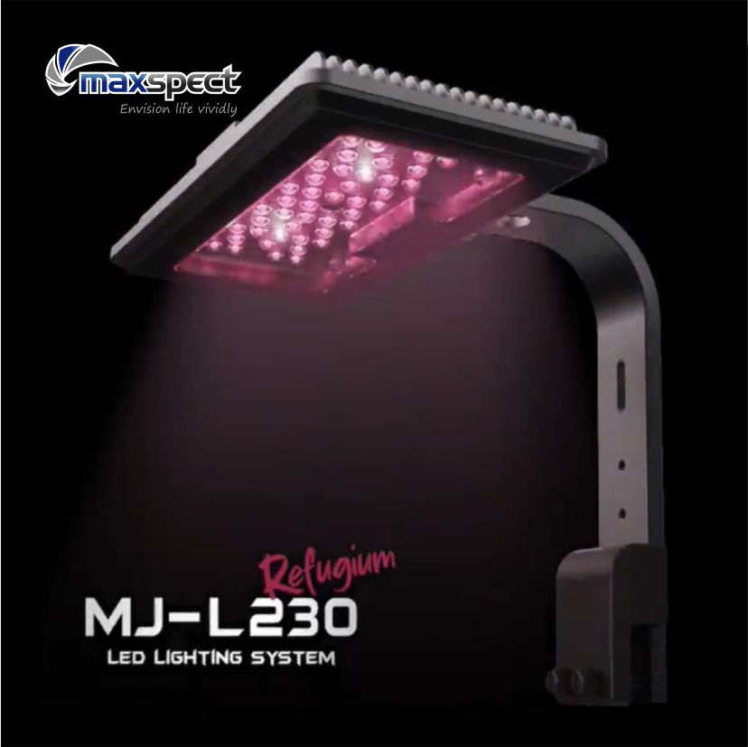 MJ-L160(130신형)-리퓨지움-조명-맥스펙트