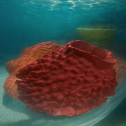 인조산호-38x38X42cm (H-VT047)-인조산호-원아쿠아