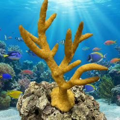 인조산호-20x15X30cm (SH9005)-인조산호-원아쿠아