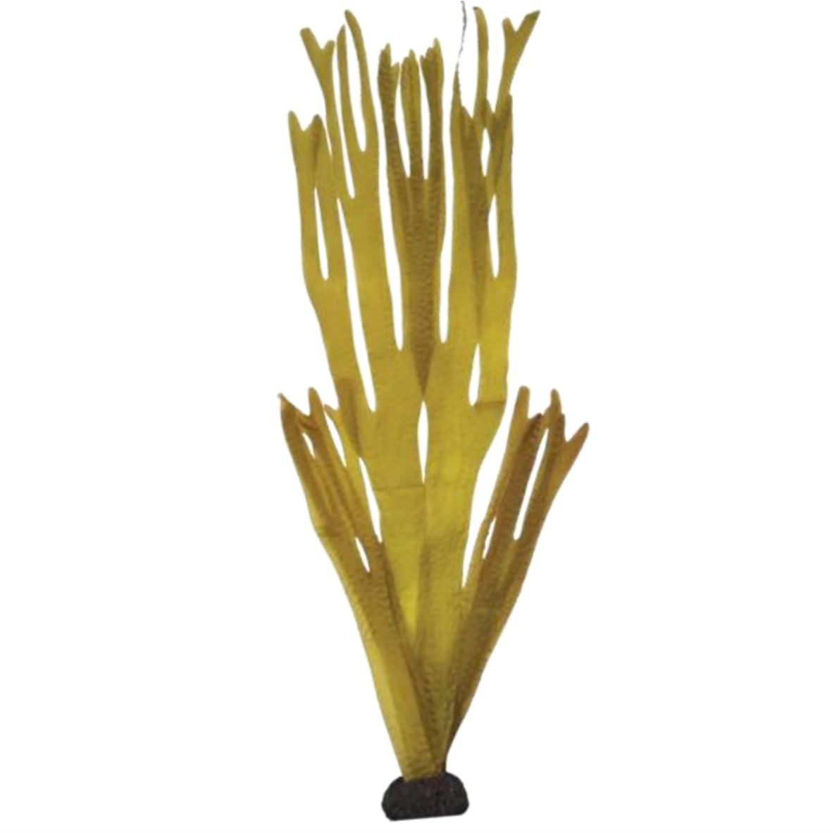 Laminaria (KP013) 40cm, 70cm, 80cm-인조켈프-원아쿠아