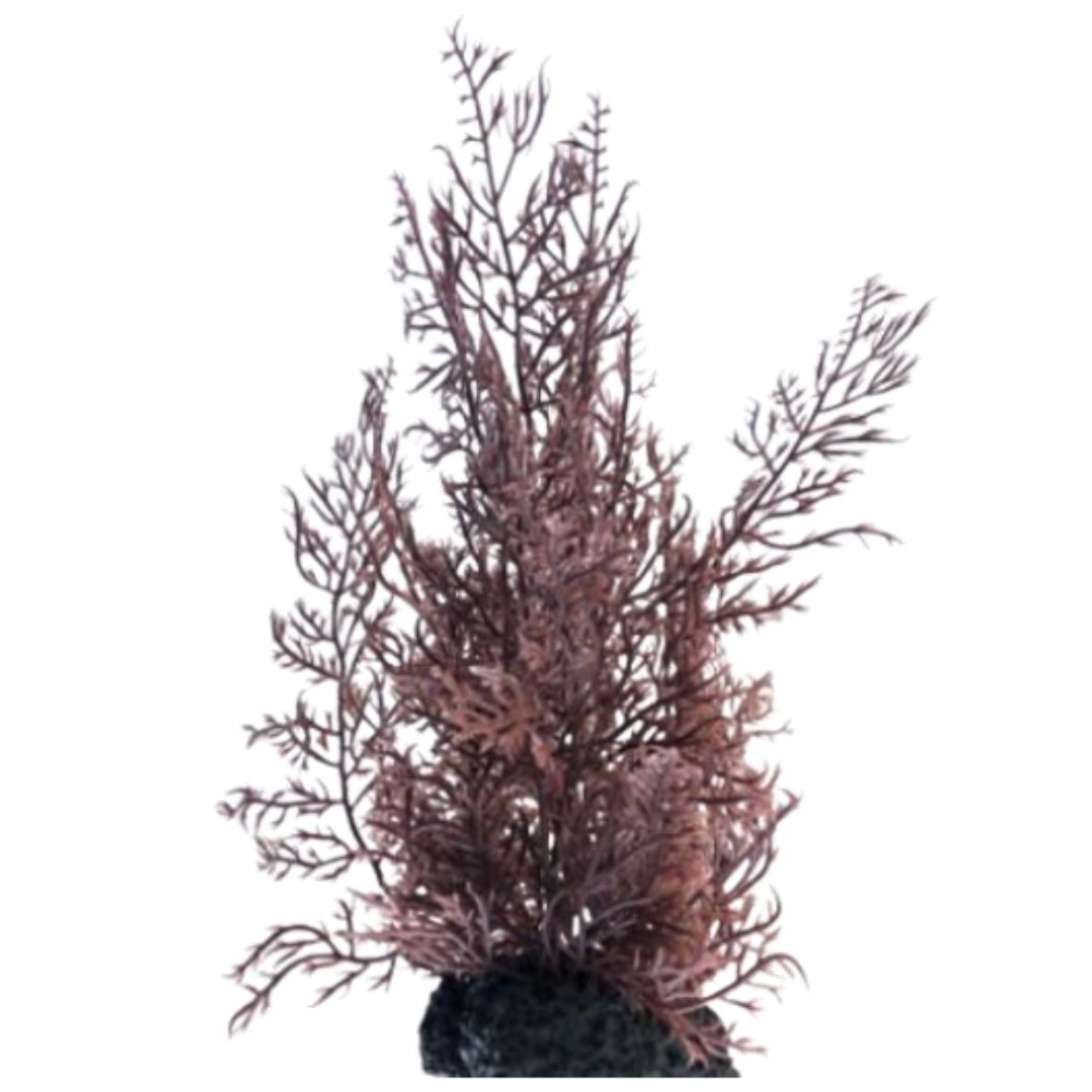 red algae (DYP001) 30cm-인조켈프-원아쿠아