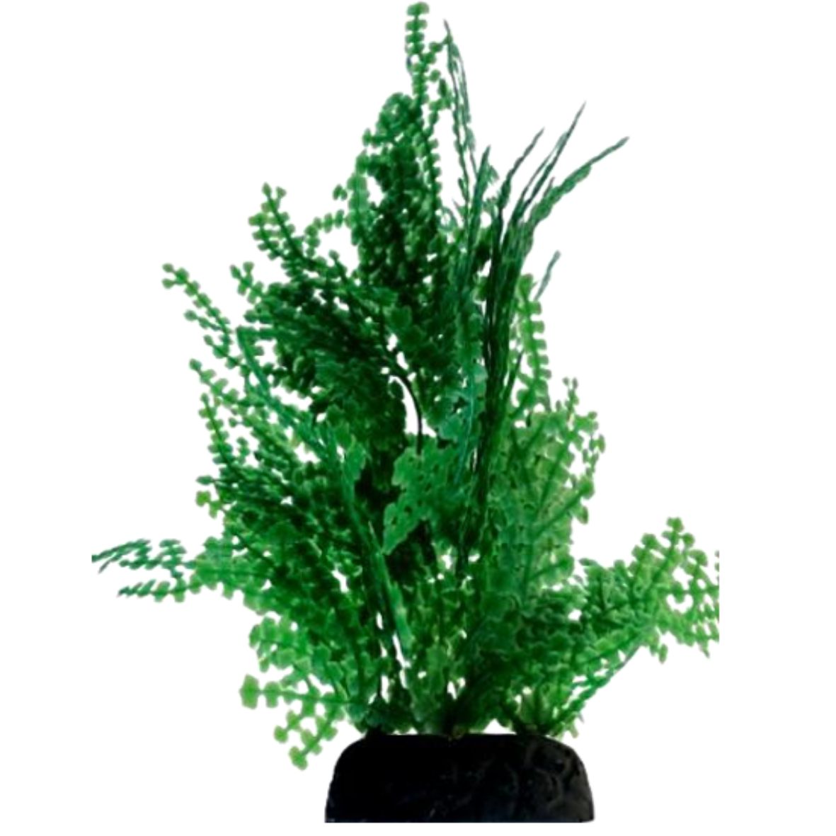 Halimeda (DYP003) 25cm, 30cm-인조켈프-원아쿠아