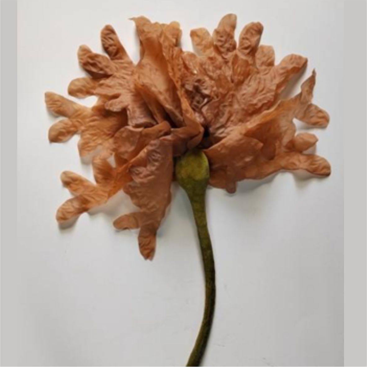 KELP (KP028) 줄기60cm, 잎30cm-인조켈프-원아쿠아