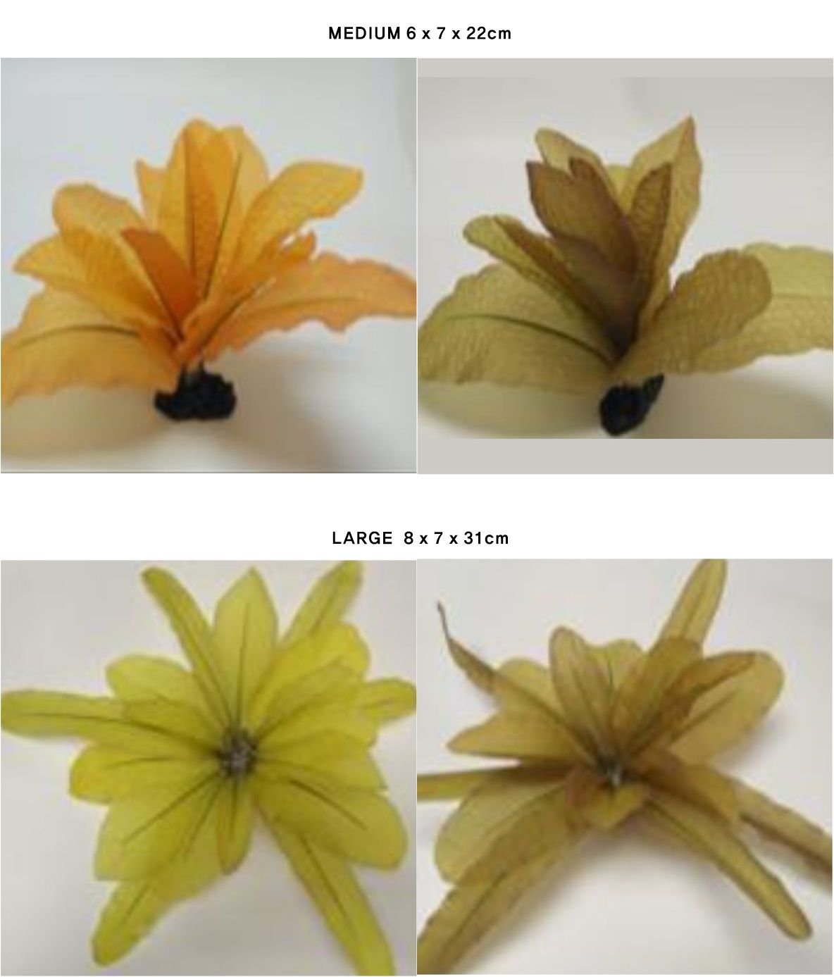 KELP (DYP005) M 6 x 7 x 22cm, L 8 x 7 x 31cm-인조켈프-원아쿠아
